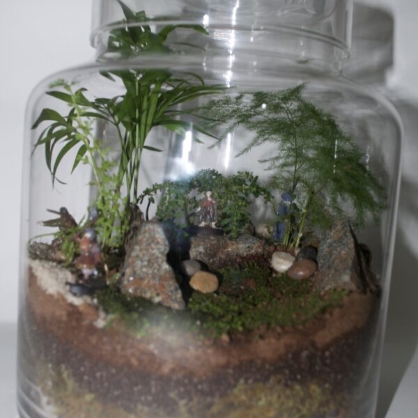 Lord of the Rings Inspired Terrarium