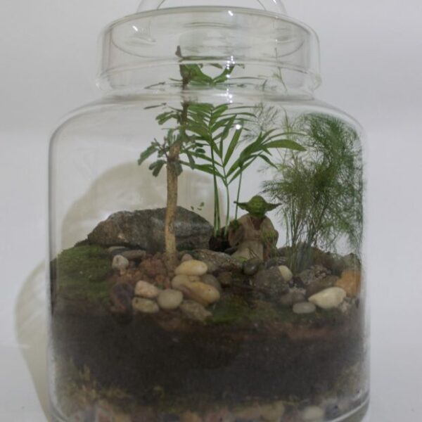 Meditating Yoda Inspired Terrarium