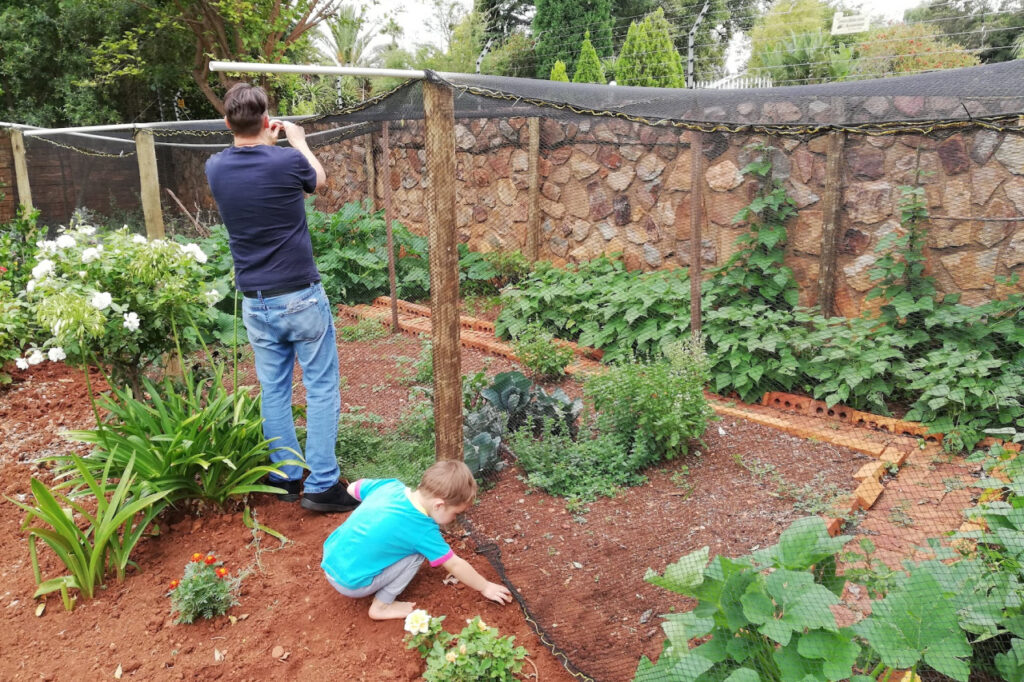 Vegetable Garden