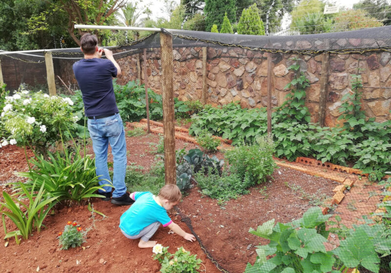 Vegetable Garden