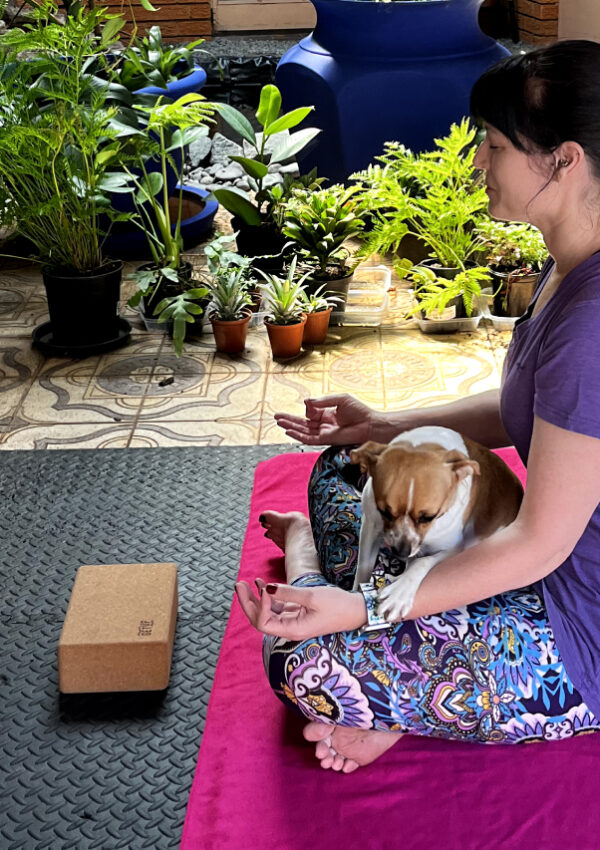 Home Yoga Studio Setup