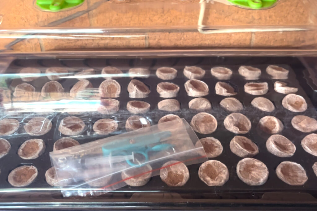 Seed starter tray with growlight
