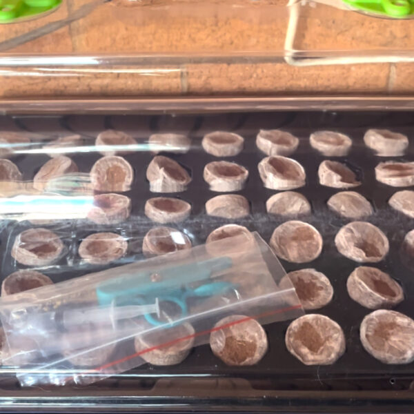 Seed starter tray with growlight