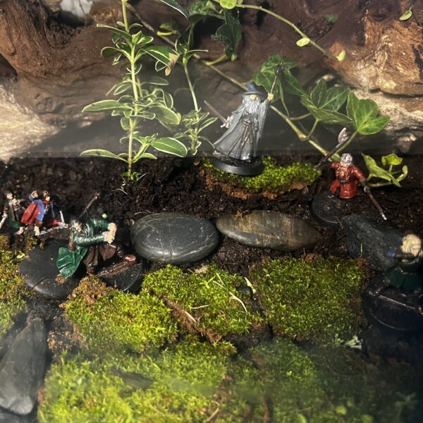 Everything I used to paint these LOTR mini figurines