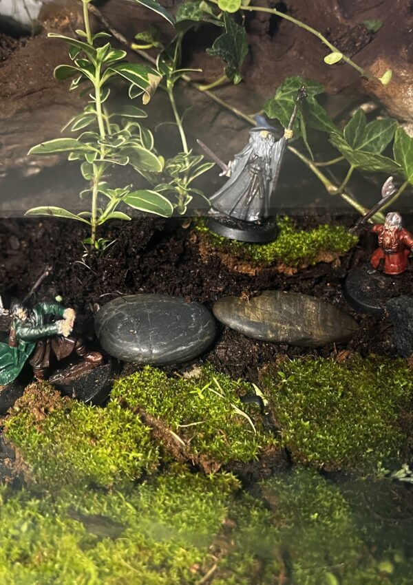 Everything I used to paint these LOTR mini figurines